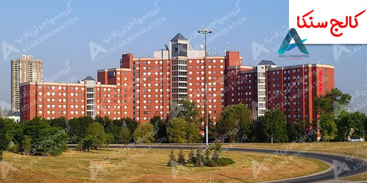 معرفی کالج سنکا | Seneca College