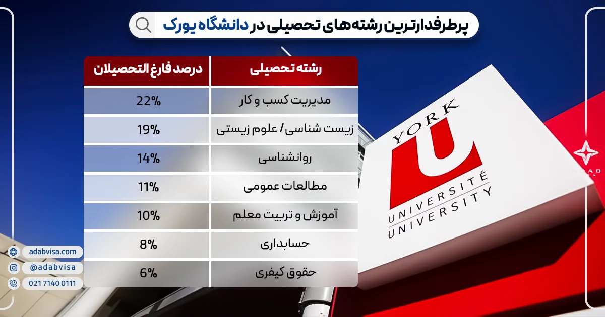 پرطرفدارترین رشته‌های تحصیلی در دانشگاه یورک 