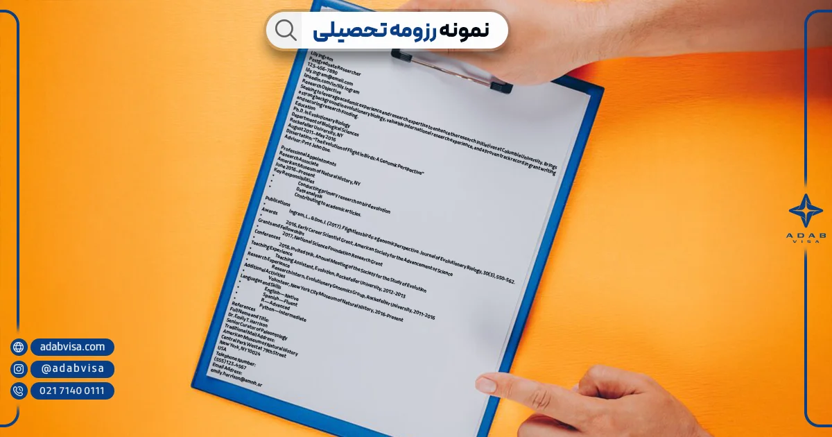 نمونه رزومه تحصیلی | ادب ویزا