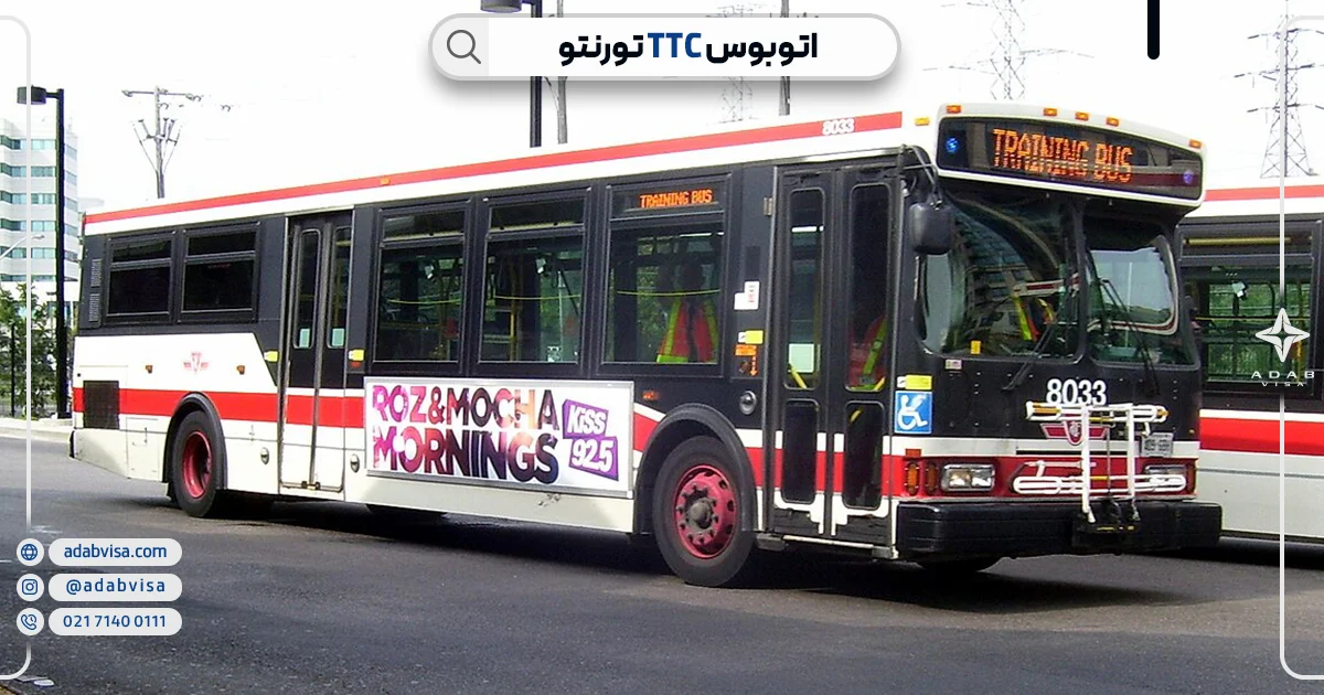 اتوبوس TTC تورنتو