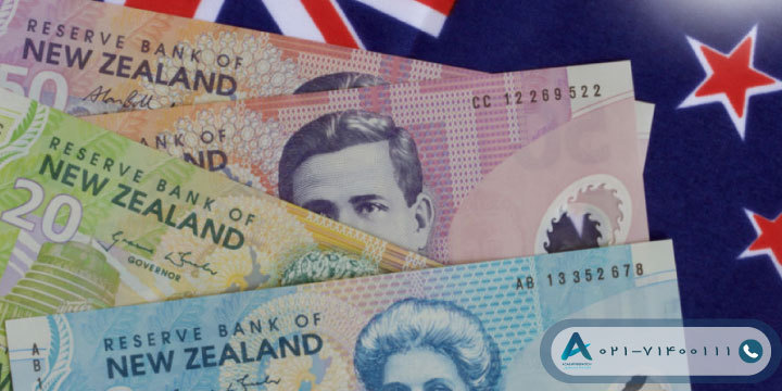 مهاجرت سرمایه گذاری نیوزلند