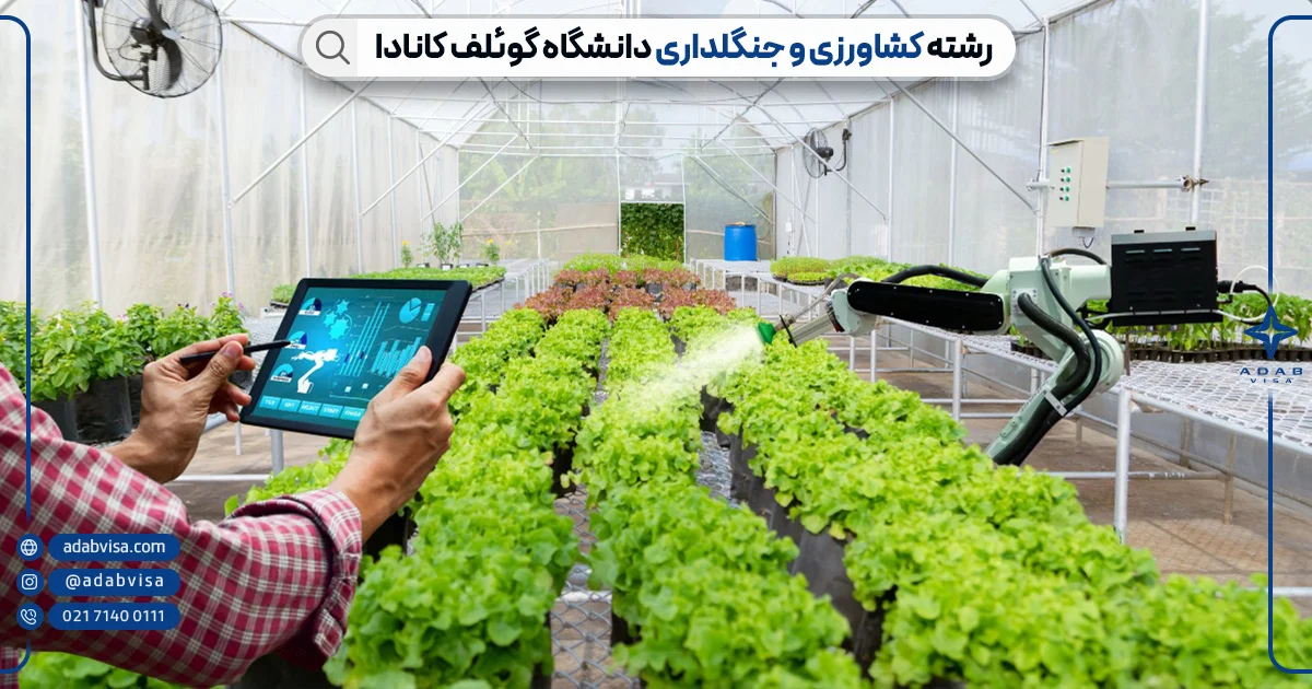 بهترین رشته های تحصیلی کانادا | ادب ویزا