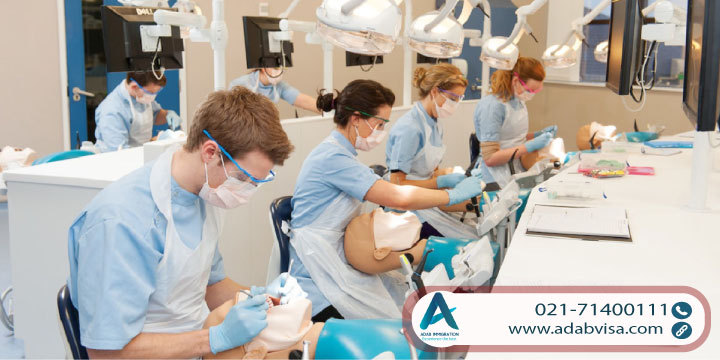 بهترین دانشگاه‌های استرالیا برای دندانپزشکی